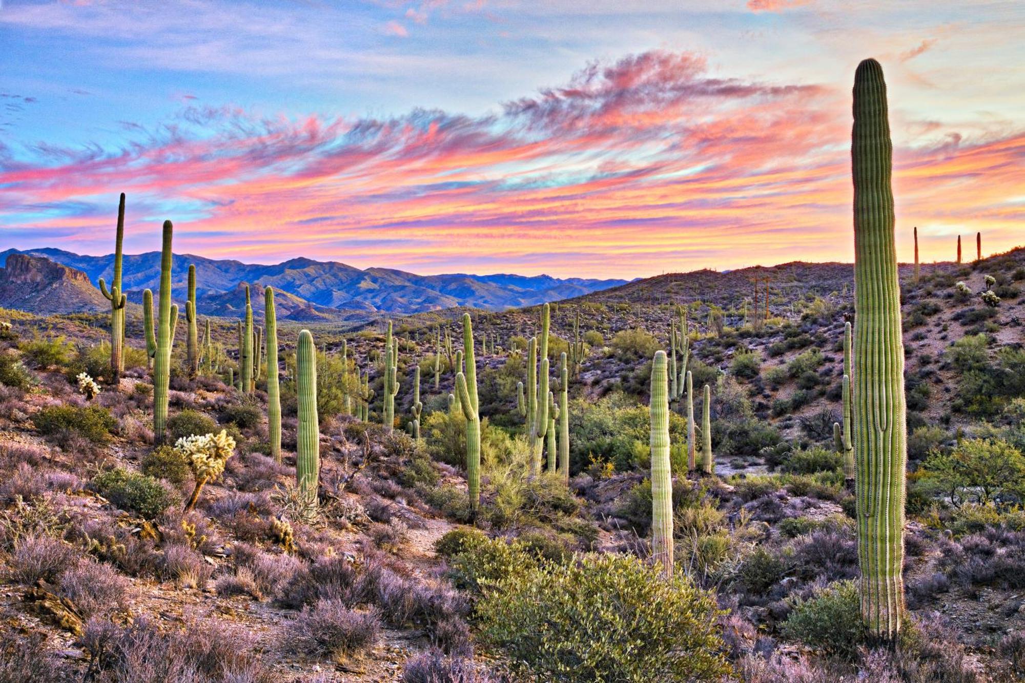 Clubgate Villa & Kierland Escape Scottsdale Quarto foto